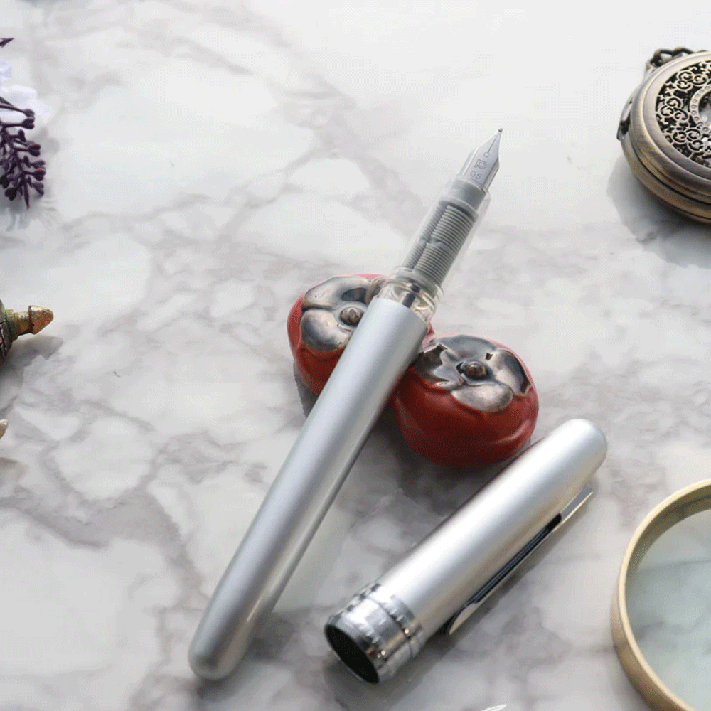 PLATINUM, Fountain Pen - PLAISIR ICE WHITE.