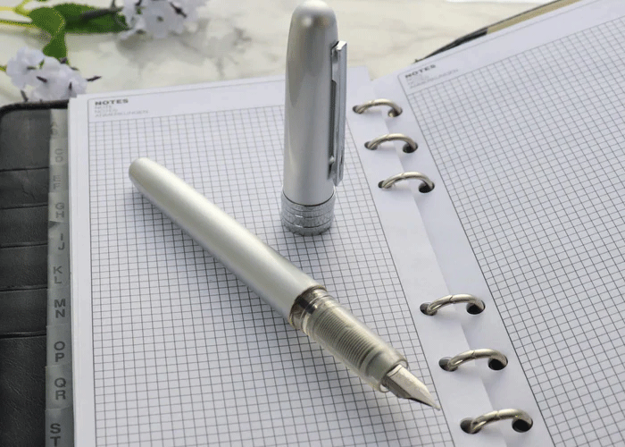 PLATINUM, Fountain Pen - PLAISIR ICE WHITE.