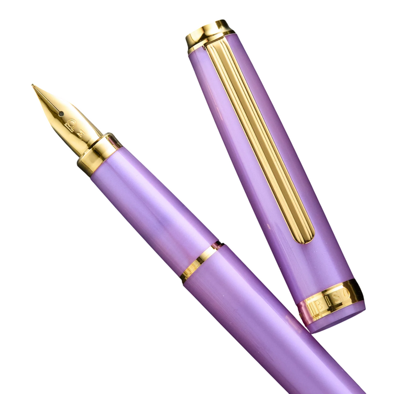 PLATINUM, Fountain Pen - BISO | Limited Edition  | Mystic Purple.