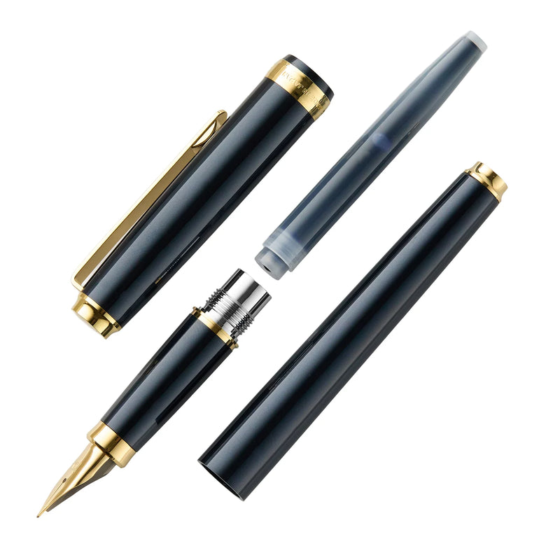 PLATINUM, Fountain Pen - BISO | Limited Edition | Nebula Black.