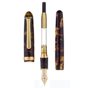 PLATINUM, Fountain Pen - #3776 CELLULOID 14K TORTOISE 17