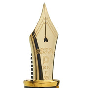 PLATINUM, Fountain Pen - #3776 CELLULOID 14K TORTOISE 7
