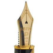 PLATINUM, Fountain Pen - #3776 CELLULOID 14K CALICO 9
