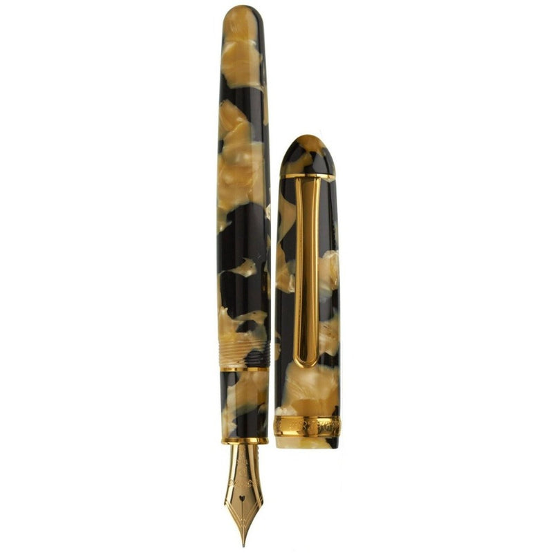 PLATINUM, Fountain Pen - #3776 CELLULOID 14K CALICO 14