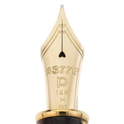 PLATINUM, Fountain Pen - #3776 CELLULOID 14K TORTOISE 8