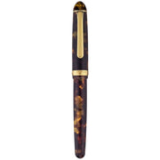 PLATINUM, Fountain Pen - #3776 CELLULOID 14K TORTOISE 2