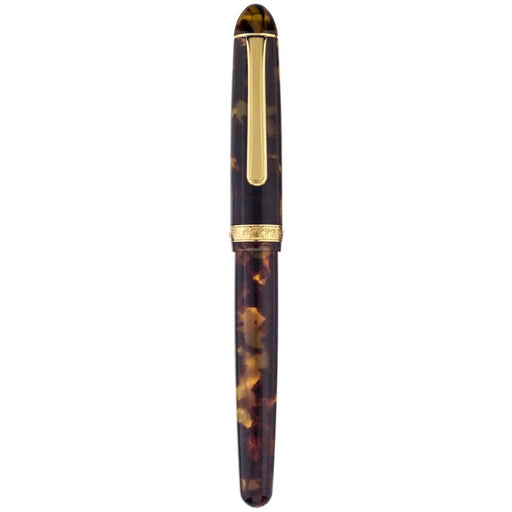 PLATINUM, Fountain Pen - #3776 CELLULOID 14K TORTOISE 2