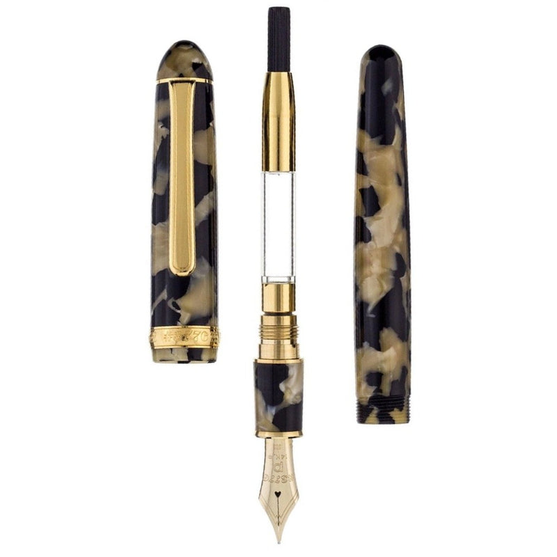 PLATINUM, Fountain Pen - #3776 CELLULOID 14K CALICO 13