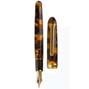 PLATINUM, Fountain Pen - #3776 CELLULOID 14K TORTOISE 16