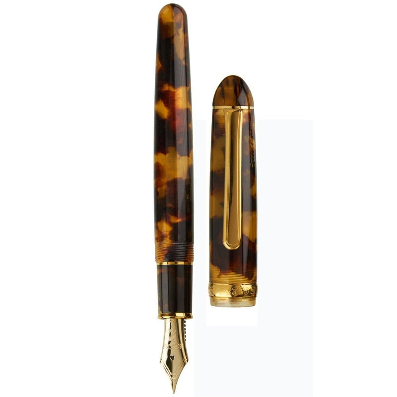 PLATINUM, Fountain Pen - #3776 CELLULOID 14K TORTOISE 16