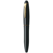 PLATINUM, Fountain Pen - IZUMO TAMENURI BIWATAME 