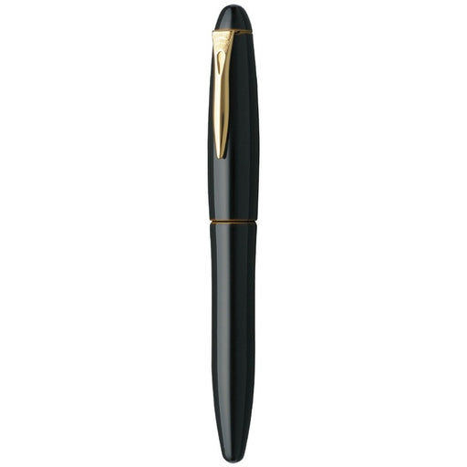 PLATINUM, Fountain Pen - IZUMO TAMENURI BIWATAME 