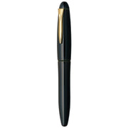 PLATINUM, Fountain Pen - IZUMO TAMENURI SORATAME 