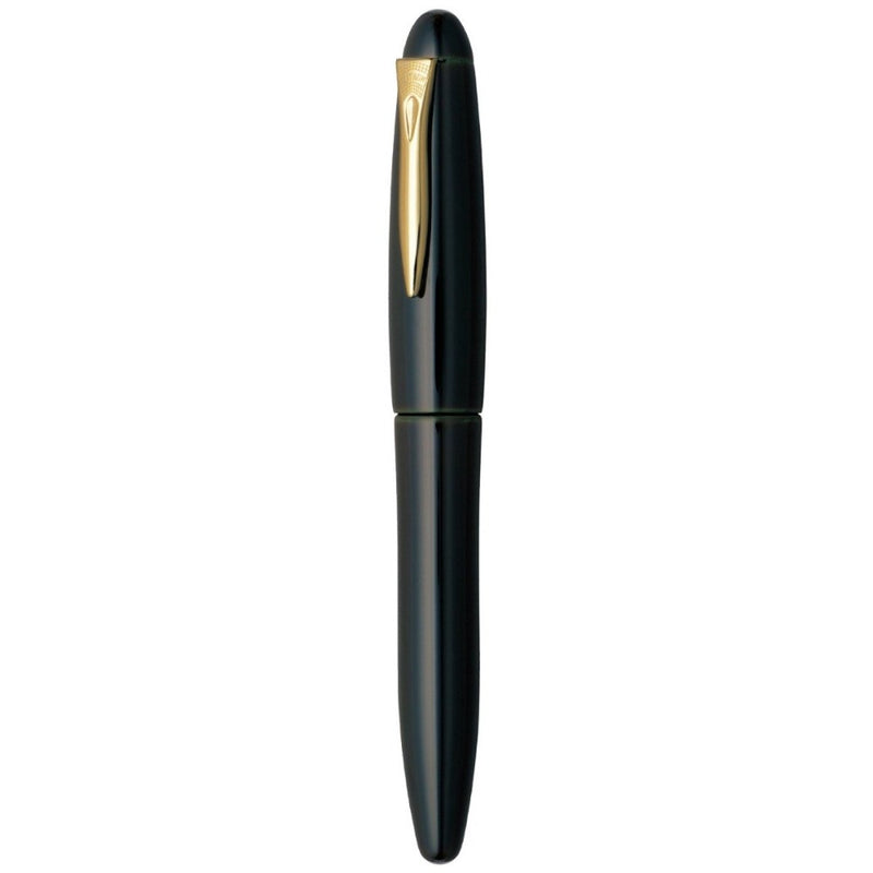 PLATINUM, Fountain Pen - IZUMO TAMENURI SORATAME 