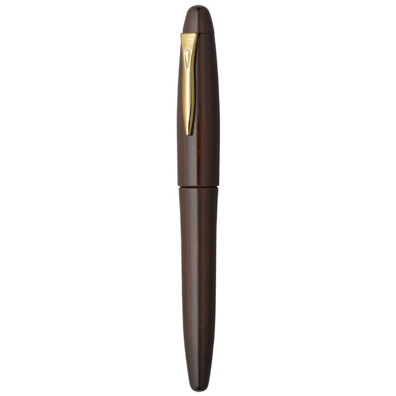 PLATINUM, Fountain Pen - IZUMO TAGAYASAN GLOSS.