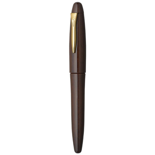 PLATINUM, Fountain Pen - IZUMO TAGAYASAN GLOSS.