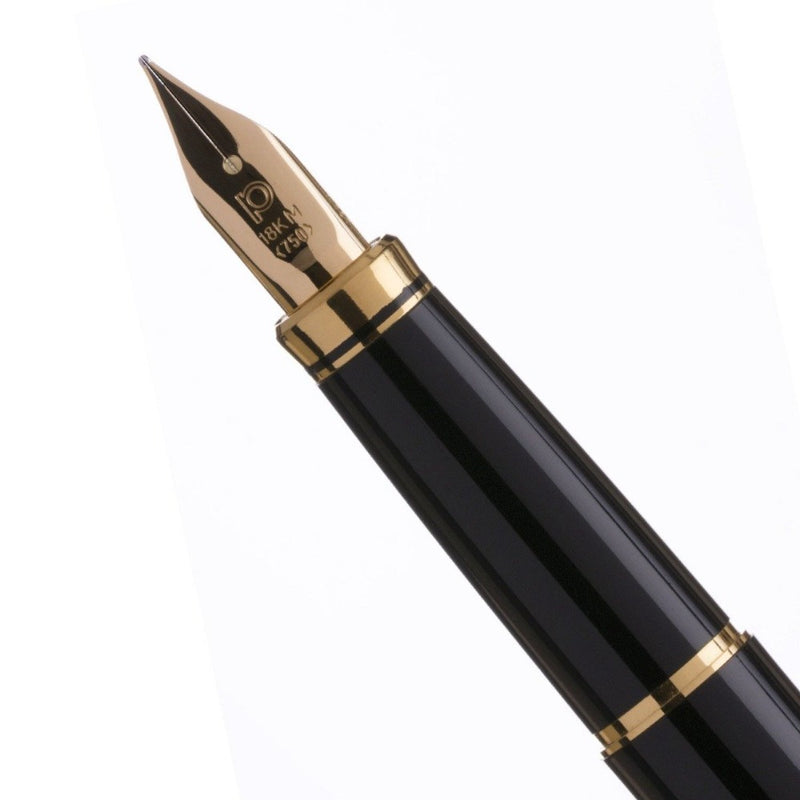 PLATINUM, Fountain Pen - VICOH MODERN MAKI-E PHOENIX 2