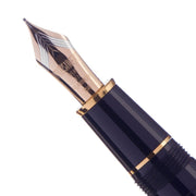 PLATINUM, Fountain Pen - PRESIDENT BLACK 5