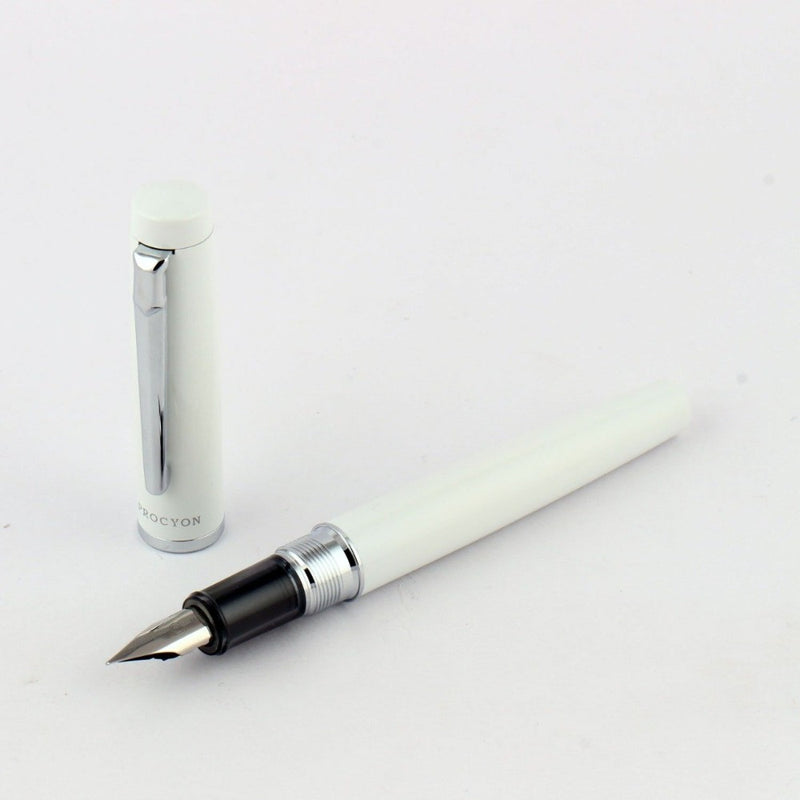 PLATINUM, Fountain Pen - PROCYON PORCELAIN WHITE 3