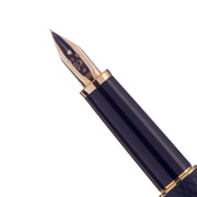 PLATINUM, Fountain Pen - VICOH SHEEP BLUE 2