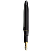 PLATINUM, Fountain Pen - IZUMO TAMENURI BIWATAME 1