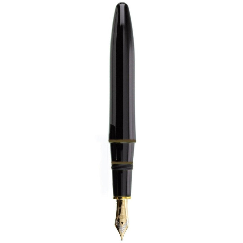 PLATINUM, Fountain Pen - IZUMO TAMENURI BIWATAME 1