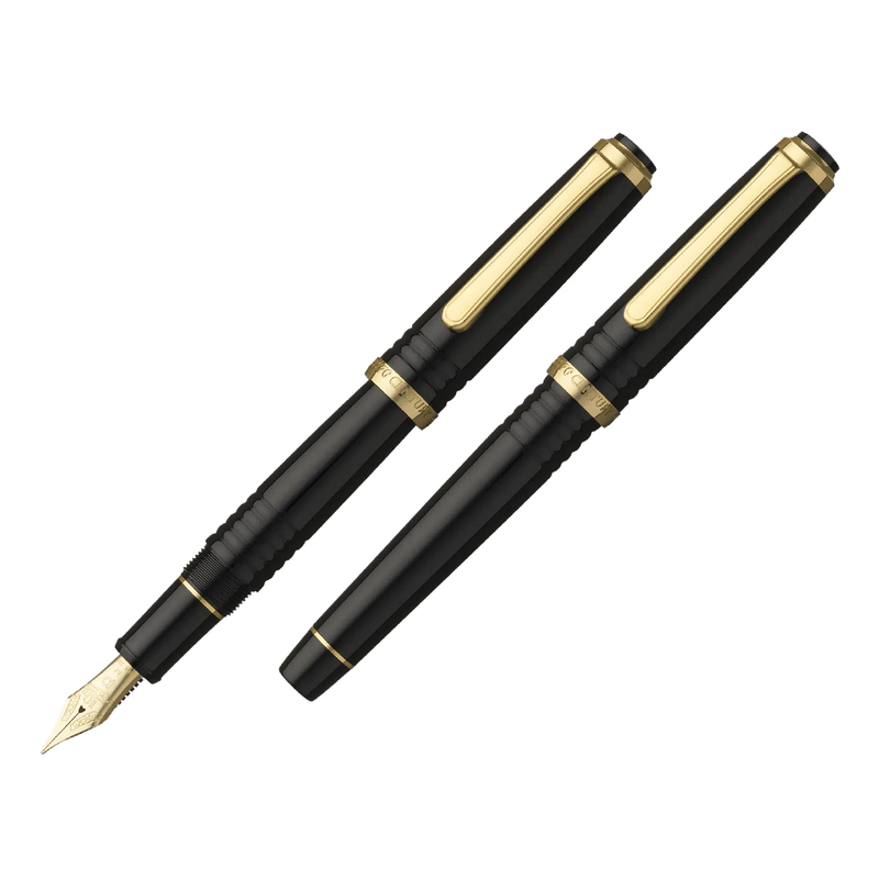 PLATINUM, Fountain Pen - #3776 CENTURY 10th Anniversary Limited Edition DECADE.