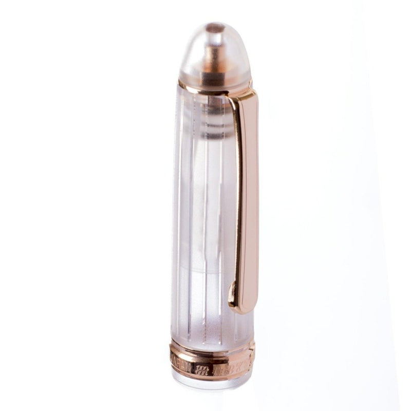 PLATINUM, Fountain Pen - #3776 CENTURY NICE ROSE 5