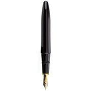 PLATINUM, Fountain Pen - IZUMO TAMENURI SORATAME 1