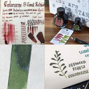 COLORVERSE, Ink 2 Bottles - EARTH EDITION Wisdom of Trees COAST REDWOOD & REDWOOD FOREST (65ml+15ml) 6