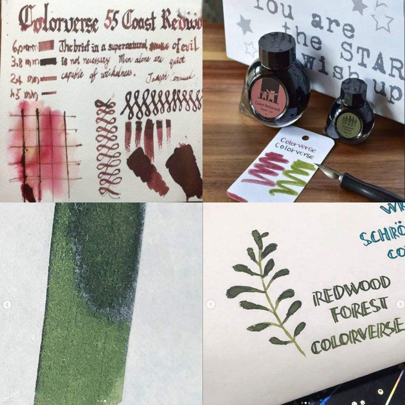 COLORVERSE, Ink 2 Bottles - EARTH EDITION Wisdom of Trees COAST REDWOOD & REDWOOD FOREST (65ml+15ml) 6