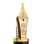 PLATINUM, Fountain Pen - IZUMO TAKEAMI "TORAFU" 3