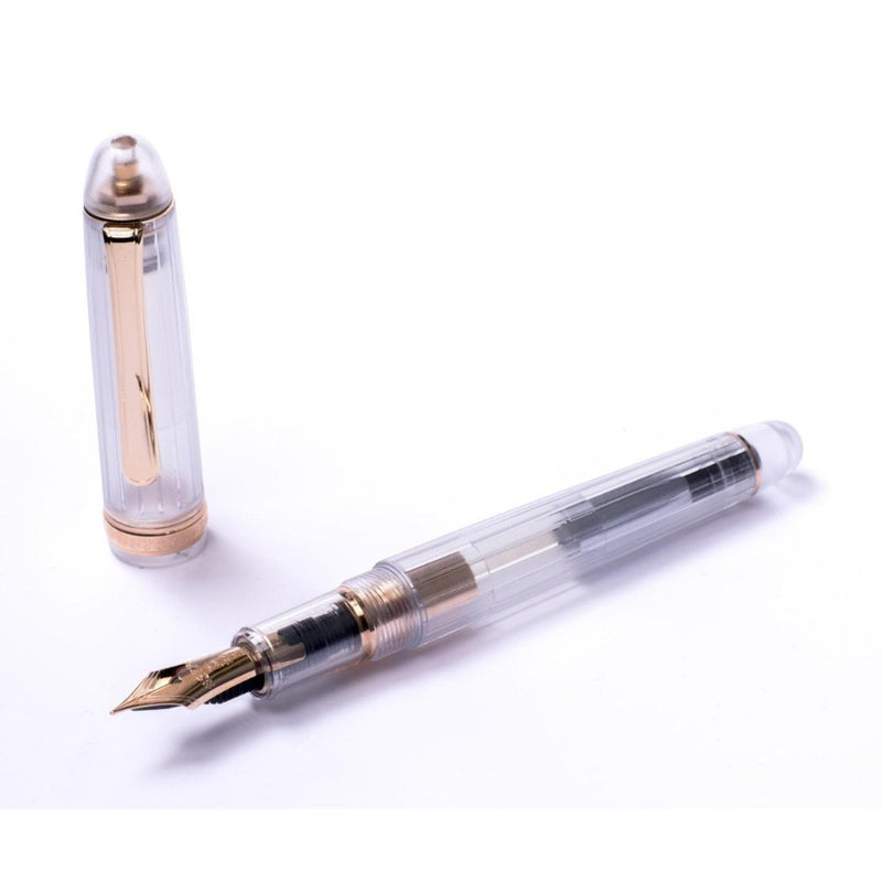 PLATINUM, Fountain Pen - #3776 CENTURY NICE ROSE 6