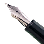 PLATINUM, Fountain Pen - #3776 CENTURY silver trim LAUREL GREEN 7
