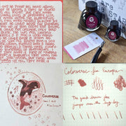 COLORVERSE, Ink 2 Bottles - SPACEWARD Season 1 SEA EUROPA (65ml+15ml) 6