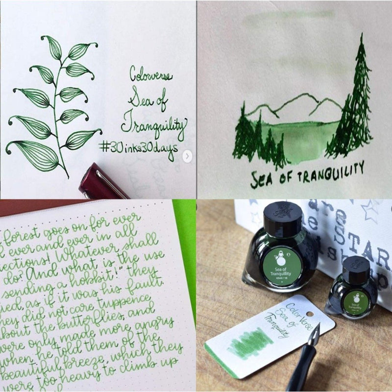 COLORVERSE, Ink 2 Bottles - SPACEWARD Season 1 SEA OF TRANQUILLITY (65ml+15ml) 5