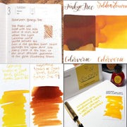 COLORVERSE, Ink 2 Bottles - EARTH EDITION Wisdom of Trees GINKGO TREE & GOLDEN LEAVES (65ml+15ml) 8