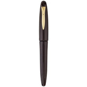 PLATINUM, Fountain Pen - IZUMO TAGAYASAN GLOSS 1
