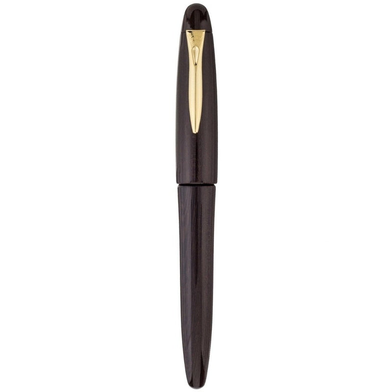 PLATINUM, Fountain Pen - IZUMO TAGAYASAN GLOSS 1