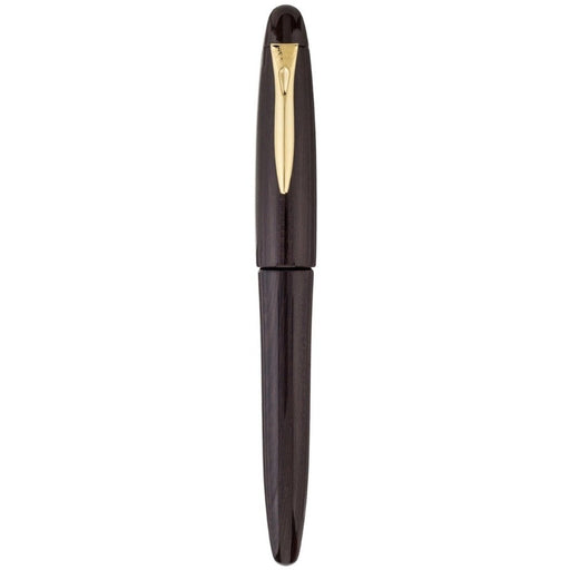 PLATINUM, Fountain Pen - IZUMO TAGAYASAN GLOSS 1