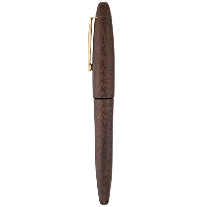 PLATINUM, Fountain Pen - IZUMO TAGAYASAN MATTE 2
