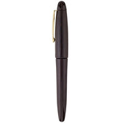 PLATINUM, Fountain Pen - IZUMO TAGAYASAN GLOSS 2