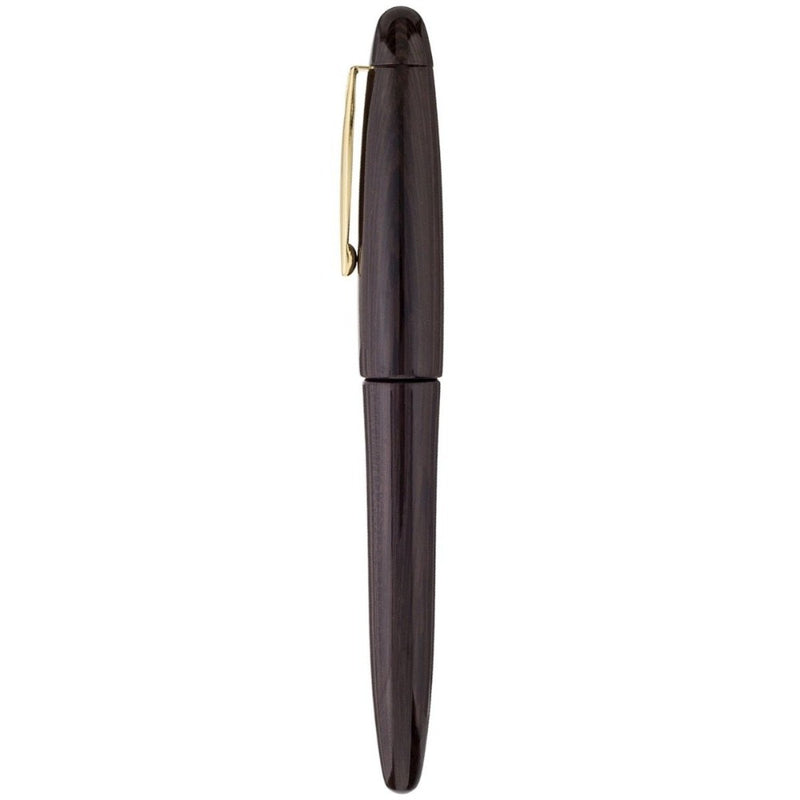 PLATINUM, Fountain Pen - IZUMO TAGAYASAN GLOSS 2