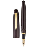 PLATINUM, Fountain Pen - IZUMO TAGAYASAN GLOSS 14