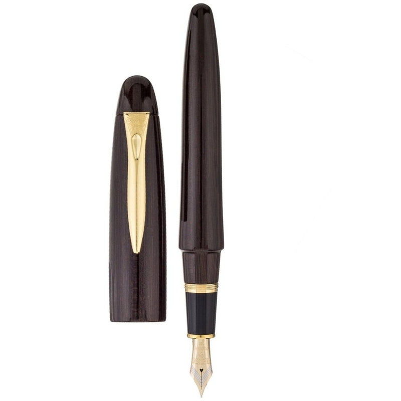 PLATINUM, Fountain Pen - IZUMO TAGAYASAN GLOSS 14