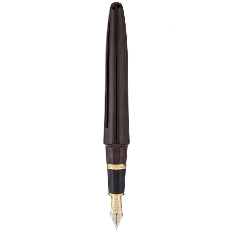 PLATINUM, Fountain Pen - IZUMO TAGAYASAN GLOSS 3