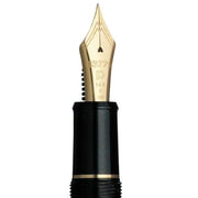 PLATINUM, Fountain Pen - #3776 CENTURY Kanazawa Gold Leaf & Ascending Dragon 10