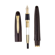 PLATINUM, Fountain Pen - IZUMO TAGAYASAN GLOSS 5