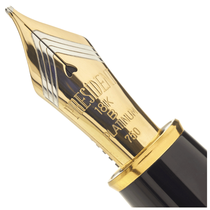PLATINUM, Fountain Pen - IZUMO YAKUMONURI "GINSEN YAKUMO".