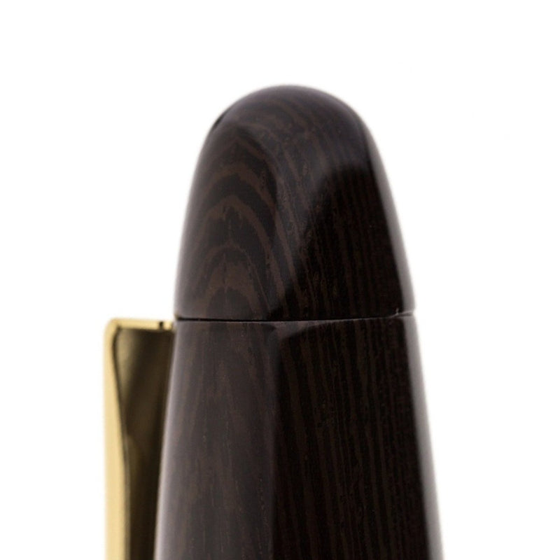 PLATINUM, Fountain Pen - IZUMO TAGAYASAN GLOSS 10